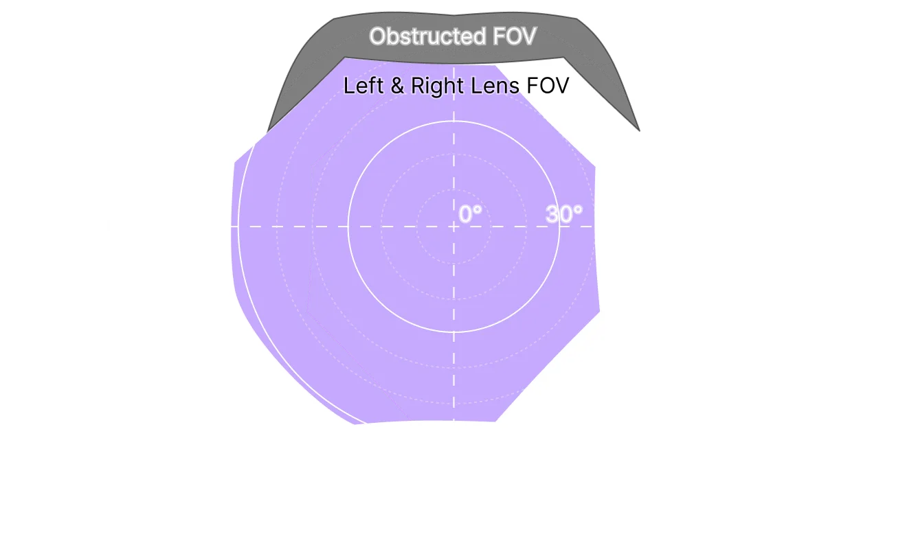 Field of View Left Diagram
